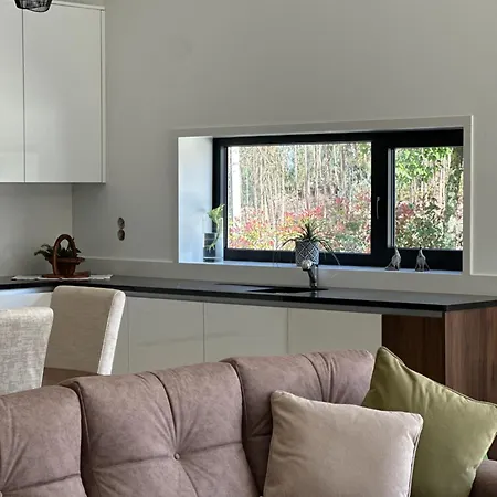 Quinta Da Barrosa - Private Villa Arouca